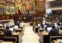 La Comisión de Protección Integral de Niñas, Niños y Adolescentes de la Asamblea Nacional se convirtió en escenario de denuncias, reclamos y compromisos urgentes frente a la grave crisis que atraviesa la red pública de salud en el país. El tema central: la atención neonatal, marcada en los últimos meses por la muerte de recién nacidos en hospitales de Guayaquil.