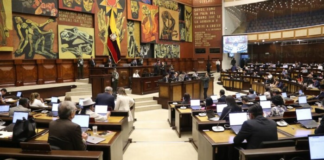 La Comisión de Protección Integral de Niñas, Niños y Adolescentes de la Asamblea Nacional se convirtió en escenario de denuncias, reclamos y compromisos urgentes frente a la grave crisis que atraviesa la red pública de salud en el país. El tema central: la atención neonatal, marcada en los últimos meses por la muerte de recién nacidos en hospitales de Guayaquil.