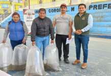 La Prefectura de Bolívar, a través de la Secretaría de Desarrollo Económico Productivo, continúa fortaleciendo el sector agroproductivo de la provincia con proyectos destinados a diversificar la producción y garantizar la seguridad alimentaria de las comunidades.