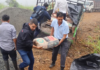 El prefecto de Bolívar, Aníbal Alejandrino Coronel Monar, encabezó una jornada de trabajo territorial en distintos sectores de la provincia, con el objetivo de fortalecer la obra pública y mantener el contacto directo con las comunidades.