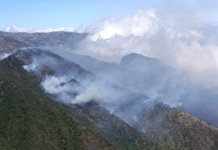 La Secretaría Nacional de Gestión de Riesgos emitió una alerta preventiva ante las condiciones climáticas reportadas por el Instituto Nacional de Meteorología e Hidrología (Inamhi), que advierte sobre un escenario favorable para la propagación de incendios forestales en los próximos días.