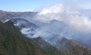 La Secretaría Nacional de Gestión de Riesgos emitió una alerta preventiva ante las condiciones climáticas reportadas por el Instituto Nacional de Meteorología e Hidrología (Inamhi), que advierte sobre un escenario favorable para la propagación de incendios forestales en los próximos días.