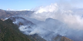 La Secretaría Nacional de Gestión de Riesgos emitió una alerta preventiva ante las condiciones climáticas reportadas por el Instituto Nacional de Meteorología e Hidrología (Inamhi), que advierte sobre un escenario favorable para la propagación de incendios forestales en los próximos días.