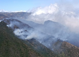 La Secretaría Nacional de Gestión de Riesgos emitió una alerta preventiva ante las condiciones climáticas reportadas por el Instituto Nacional de Meteorología e Hidrología (Inamhi), que advierte sobre un escenario favorable para la propagación de incendios forestales en los próximos días.