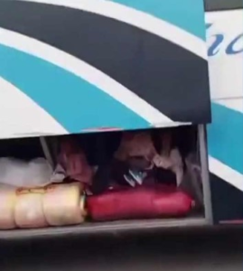 La Agencia Nacional de Tránsito (ANT) ha iniciado un expediente administrativo contra la cooperativa de transporte interprovincial Trasandina, luego de que se viralizara un video en redes sociales que muestra a varios menores de edad viajando en el maletero de una de sus unidades. El hecho ocurrió en la parroquia Licán, cantón Riobamba, en la provincia de Chimborazo.