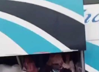 La Agencia Nacional de Tránsito (ANT) ha iniciado un expediente administrativo contra la cooperativa de transporte interprovincial Trasandina, luego de que se viralizara un video en redes sociales que muestra a varios menores de edad viajando en el maletero de una de sus unidades. El hecho ocurrió en la parroquia Licán, cantón Riobamba, en la provincia de Chimborazo.