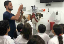 Durante todo el mes de agosto, los niños de Pelileo tendrán la oportunidad de ponerse la bata blanca y conocer de cerca el trabajo de un veterinario, gracias al programa “Veterinario por un día”, impulsado por la Reina de Pelileo, Liz Villegas.