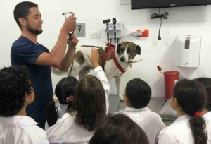 Durante todo el mes de agosto, los niños de Pelileo tendrán la oportunidad de ponerse la bata blanca y conocer de cerca el trabajo de un veterinario, gracias al programa “Veterinario por un día”, impulsado por la Reina de Pelileo, Liz Villegas.