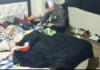 En un operativo en las ciudades de Riobamba y Ambato, tres individuos fueron detenidos tras desmantelar una presunta red de explotación sexual que operaba bajo la fachada de empleos falsos, este arresto es solo el último capítulo de una lucha creciente contra la trata de personas en Ecuador, un delito que ha crecido alarmantemente en los últimos años, afectando principalmente a mujeres, adolescentes y niñas.