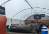 Riobamba dio un paso importante en materia ambiental y productiva. La Empresa Pública del Mercado de Productores Mayoristas firmó un acuerdo con ECO-INVENTAGRI, compañía especializada en sistemas eco-sostenibles, para implementar un proyecto para aprovechar los nutrientes de los desechos orgánicos que a diario se generan en el centro de abastos.