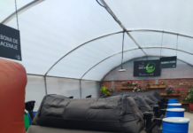 Riobamba dio un paso importante en materia ambiental y productiva. La Empresa Pública del Mercado de Productores Mayoristas firmó un acuerdo con ECO-INVENTAGRI, compañía especializada en sistemas eco-sostenibles, para implementar un proyecto para aprovechar los nutrientes de los desechos orgánicos que a diario se generan en el centro de abastos.