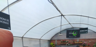 Riobamba dio un paso importante en materia ambiental y productiva. La Empresa Pública del Mercado de Productores Mayoristas firmó un acuerdo con ECO-INVENTAGRI, compañía especializada en sistemas eco-sostenibles, para implementar un proyecto para aprovechar los nutrientes de los desechos orgánicos que a diario se generan en el centro de abastos.