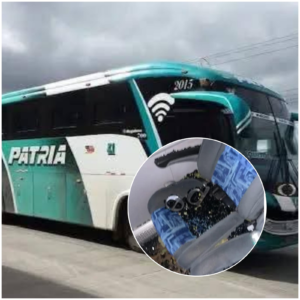 En medio de la oscuridad de la carretera, un bus de Transportes Patria se convirtió en una trampa rodante: nueve delincuentes armados tomaron el control del vehículo, y lo que era un viaje rutinario hacia Riobamba se transformó en una noche de terror para sus pasajeros.
