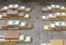 La Policía Nacional logró un importante golpe al narcotráfico con el decomiso de 199 paquetes de cocaína ocultos en una camioneta, en un operativo desarrollado en el sector de Pungarayacu, provincia de Napo. El alcaloide, según las investigaciones preliminares, tenía como destino los mercados internacionales, donde su valor comercial superaría los USD 9,3 millones.