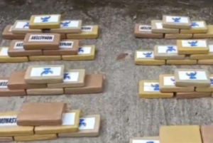 La Policía Nacional logró un importante golpe al narcotráfico con el decomiso de 199 paquetes de cocaína ocultos en una camioneta, en un operativo desarrollado en el sector de Pungarayacu, provincia de Napo. El alcaloide, según las investigaciones preliminares, tenía como destino los mercados internacionales, donde su valor comercial superaría los USD 9,3 millones.
