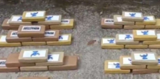 La Policía Nacional logró un importante golpe al narcotráfico con el decomiso de 199 paquetes de cocaína ocultos en una camioneta, en un operativo desarrollado en el sector de Pungarayacu, provincia de Napo. El alcaloide, según las investigaciones preliminares, tenía como destino los mercados internacionales, donde su valor comercial superaría los USD 9,3 millones.