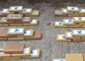 La Policía Nacional logró un importante golpe al narcotráfico con el decomiso de 199 paquetes de cocaína ocultos en una camioneta, en un operativo desarrollado en el sector de Pungarayacu, provincia de Napo. El alcaloide, según las investigaciones preliminares, tenía como destino los mercados internacionales, donde su valor comercial superaría los USD 9,3 millones.