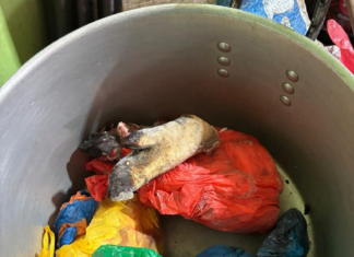 En un operativo encabezado por la Agencia Nacional de Regulación, Control y Vigilancia Sanitaria (ARCSA), se procedió a la clausura inmediata de un local de expendio de alimentos en el sector El Socorro, tras detectarse múltiples irregularidades que atentaban contra la salud pública y la seguridad alimentaria de la población.