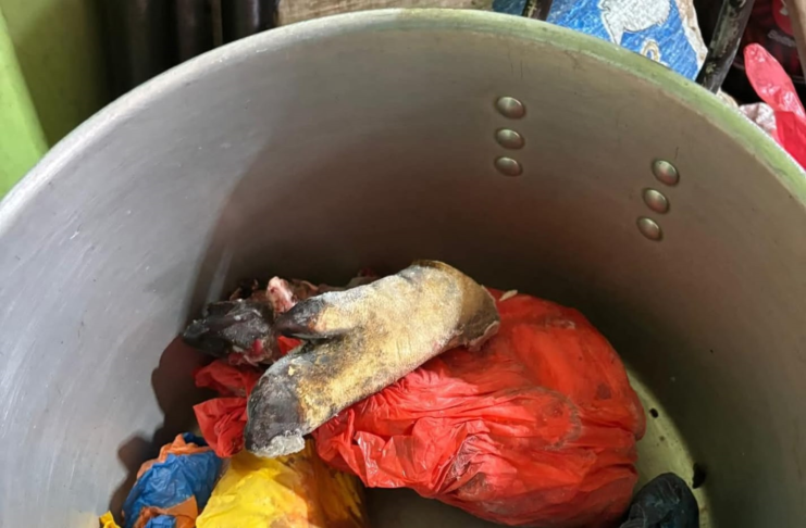 En un operativo encabezado por la Agencia Nacional de Regulación, Control y Vigilancia Sanitaria (ARCSA), se procedió a la clausura inmediata de un local de expendio de alimentos en el sector El Socorro, tras detectarse múltiples irregularidades que atentaban contra la salud pública y la seguridad alimentaria de la población.