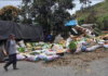 Un accidente de tránsito movilizó a los equipos de emergencia en el sector La Florida, cantón Pallatanga, luego de que un camión que transportaba legumbres con destino a Guayaquil se volcara en plena vía, dejando dos personas heridas y cuantiosas pérdidas materiales.