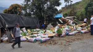 Un accidente de tránsito movilizó a los equipos de emergencia en el sector La Florida, cantón Pallatanga, luego de que un camión que transportaba legumbres con destino a Guayaquil se volcara en plena vía, dejando dos personas heridas y cuantiosas pérdidas materiales.