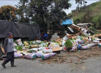 Un accidente de tránsito movilizó a los equipos de emergencia en el sector La Florida, cantón Pallatanga, luego de que un camión que transportaba legumbres con destino a Guayaquil se volcara en plena vía, dejando dos personas heridas y cuantiosas pérdidas materiales.