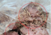 Una ama de casa del cantón Pastaza denunció la venta de piltrafas contaminadas con gusanos en un local del sector del mercado de los plátanos, en la ciudad de Puyo. La mujer, que prefirió mantener su nombre en reserva, relató que adquirió la carne con la intención de alimentar a sus mascotas, pero al llegar a casa y abrir la funda, se encontró con la desagradable sorpresa: el producto estaba infestado de larvas.