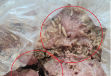Una ama de casa del cantón Pastaza denunció la venta de piltrafas contaminadas con gusanos en un local del sector del mercado de los plátanos, en la ciudad de Puyo. La mujer, que prefirió mantener su nombre en reserva, relató que adquirió la carne con la intención de alimentar a sus mascotas, pero al llegar a casa y abrir la funda, se encontró con la desagradable sorpresa: el producto estaba infestado de larvas.