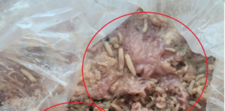 Una ama de casa del cantón Pastaza denunció la venta de piltrafas contaminadas con gusanos en un local del sector del mercado de los plátanos, en la ciudad de Puyo. La mujer, que prefirió mantener su nombre en reserva, relató que adquirió la carne con la intención de alimentar a sus mascotas, pero al llegar a casa y abrir la funda, se encontró con la desagradable sorpresa: el producto estaba infestado de larvas.