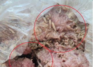 Una ama de casa del cantón Pastaza denunció la venta de piltrafas contaminadas con gusanos en un local del sector del mercado de los plátanos, en la ciudad de Puyo. La mujer, que prefirió mantener su nombre en reserva, relató que adquirió la carne con la intención de alimentar a sus mascotas, pero al llegar a casa y abrir la funda, se encontró con la desagradable sorpresa: el producto estaba infestado de larvas.
