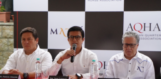 En 2025, la Quinta Macají será sede del primer show oficial de caballos de raza Cuarto de Milla avalado por la American Quarter Horse Association (AQHA), la organización ecuestre más influyente y prestigiosa del mundo.