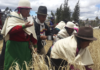 El 31 de agosto, la comunidad de La Moya, en la parroquia Calpi, abrirá sus puertas para compartir con propios y visitantes la Fiesta del Jahuay, un ritual agrícola que ha perdurado por siglos en el pueblo Puruhá.
