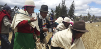 El 31 de agosto, la comunidad de La Moya, en la parroquia Calpi, abrirá sus puertas para compartir con propios y visitantes la Fiesta del Jahuay, un ritual agrícola que ha perdurado por siglos en el pueblo Puruhá.