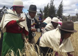El 31 de agosto, la comunidad de La Moya, en la parroquia Calpi, abrirá sus puertas para compartir con propios y visitantes la Fiesta del Jahuay, un ritual agrícola que ha perdurado por siglos en el pueblo Puruhá.