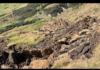 En la parte alta del sector Ayurco, perteneciente a la comunidad de Cotoyaco, parroquia Sibambe, cantón Alausí, la preocupación crece entre los habitantes por la amenaza de deslizamientos de tierra que podrían ocasionar graves consecuencias en la zona.