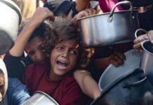 Un estremecedor mensaje emerge desde la Franja de Gaza: un estudio reciente revela que casi la mitad de los niños han manifestado que preferirían morir solo para alcanzar el cielo, donde creen que encontrarán comida y agua.