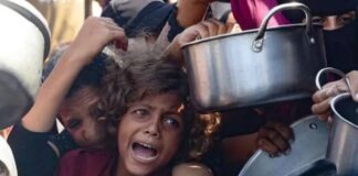 Un estremecedor mensaje emerge desde la Franja de Gaza: un estudio reciente revela que casi la mitad de los niños han manifestado que preferirían morir solo para alcanzar el cielo, donde creen que encontrarán comida y agua.