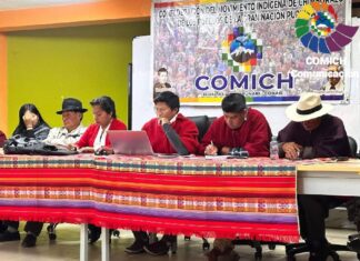 El Movimiento Indígena de Chimborazo (Comich) ha convocado acciones de protesta progresivas en la provincia, en rechazo al Decreto Ejecutivo 126 que suprimió el subsidio al diésel automotor, elevando su precio de USD 1,80 a USD 2,80 por galón, con un régimen de bandas hasta diciembre de 2025.