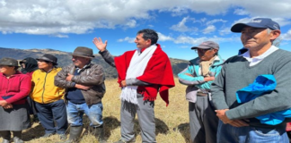 El prefecto de Bolívar, Aníbal Coronel Monar, cumplió una jornada de trabajo en las parroquias Simiatug y Salinas, donde constató avances en proyectos que fortalecen la producción agrícola y promueven el bienestar social en comunidades rurales de la provincia.