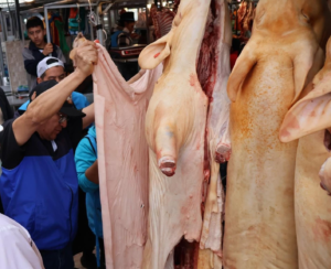 Un operativo en el mercado San Alfonso, tuvo como resultado el decomiso de cinco cerdos faenados que no contaban con el registro sanitario, la intervención, encabezada por autoridades policiales y sanitarias, puso al descubierto la comercialización de carne proveniente de un camal clandestino, sin guías ni sellos oficiales.