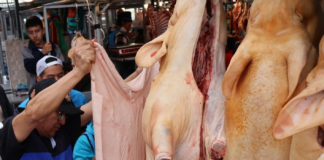 Un operativo en el mercado San Alfonso, tuvo como resultado el decomiso de cinco cerdos faenados que no contaban con el registro sanitario, la intervención, encabezada por autoridades policiales y sanitarias, puso al descubierto la comercialización de carne proveniente de un camal clandestino, sin guías ni sellos oficiales.