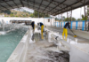 La Empresa Pública de Agua Potable de Riobamba ejecuta trabajos de mantenimiento en las redes de distribución de agua, con el objetivo de asegurar la calidad y continuidad del servicio para la ciudadanía.