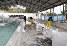 La Empresa Pública de Agua Potable de Riobamba ejecuta trabajos de mantenimiento en las redes de distribución de agua, con el objetivo de asegurar la calidad y continuidad del servicio para la ciudadanía.