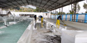 La Empresa Pública de Agua Potable de Riobamba ejecuta trabajos de mantenimiento en las redes de distribución de agua, con el objetivo de asegurar la calidad y continuidad del servicio para la ciudadanía.