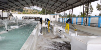 La Empresa Pública de Agua Potable de Riobamba ejecuta trabajos de mantenimiento en las redes de distribución de agua, con el objetivo de asegurar la calidad y continuidad del servicio para la ciudadanía.