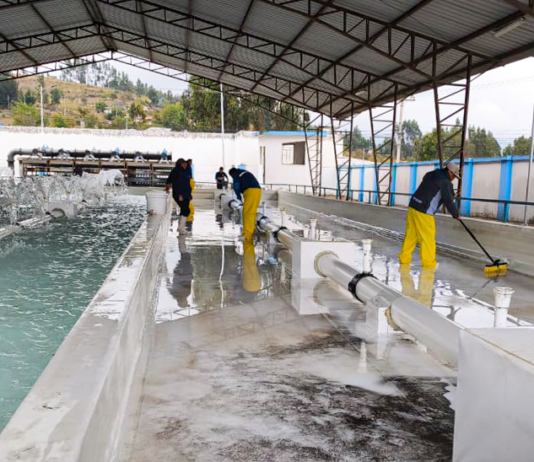 La Empresa Pública de Agua Potable de Riobamba ejecuta trabajos de mantenimiento en las redes de distribución de agua, con el objetivo de asegurar la calidad y continuidad del servicio para la ciudadanía.