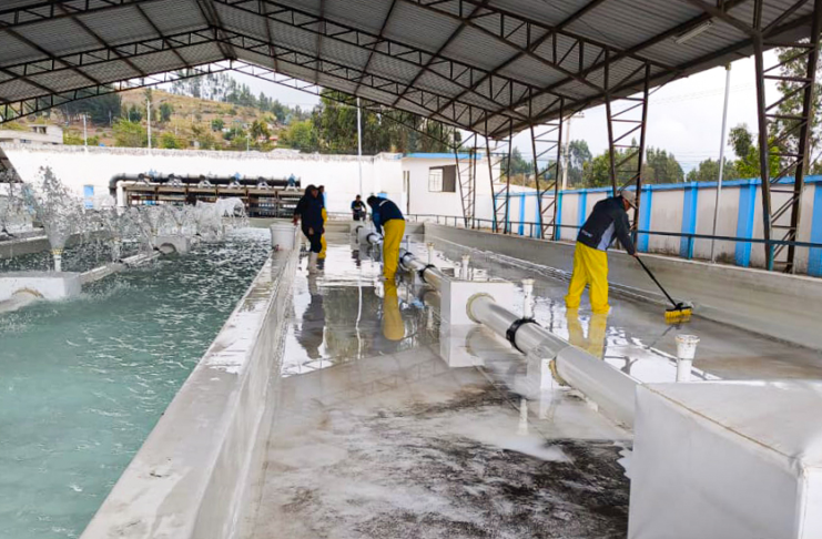 La Empresa Pública de Agua Potable de Riobamba ejecuta trabajos de mantenimiento en las redes de distribución de agua, con el objetivo de asegurar la calidad y continuidad del servicio para la ciudadanía.