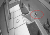 Una adolescente de 17 años fue atropellada por una motocicleta en la avenida La Prensa, al norte de Riobamba. Tras el impacto, quedó inconsciente sobre el pavimento durante varios minutos, mientras testigos y vecinos del sector intentaban auxiliarla. El accidente ocurrió la mañana del 8 de septiembre.