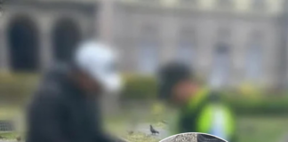 Un operativo realizado en las calles céntricas de Riobamba terminó con la aprehensión de un hombre que presuntamente cargaba varias fundas de marihuana. La escena ocurrió a pocos metros del parque Sucre, uno de los espacios más concurridos por estudiantes, familias y turistas.