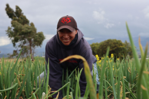 El gobierno de Daniel Noboa anunció la entrega del Bono Raíces, una compensación económica destinada a familias rurales de los sectores agrícola y pecuario, como medida frente al reciente fin del subsidio al diésel en Ecuador.